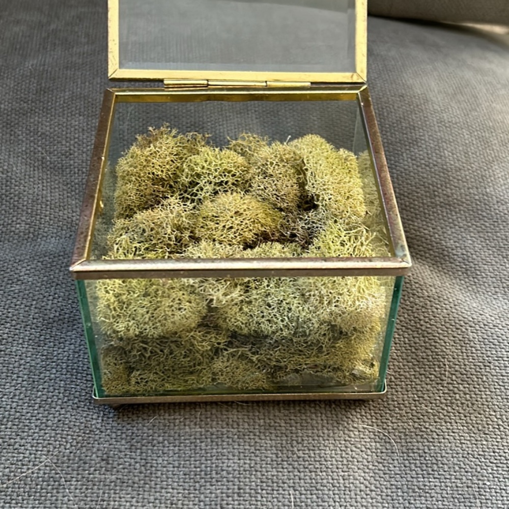 Ring Box - Picture 4 of 4